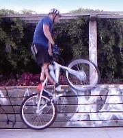 mountain biking and biketrial skills